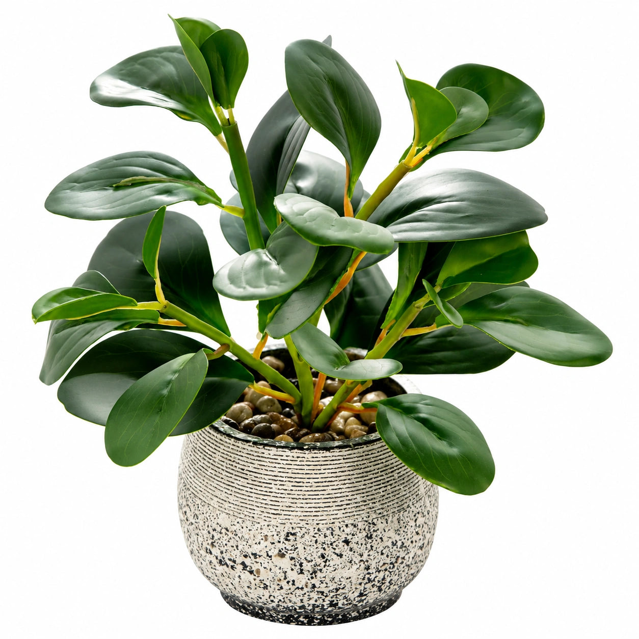 Planta Artificial de Hoja Ancha con Maceta de Cer¨¢mica, 30 cm